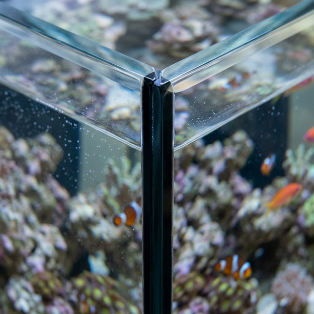 Крупний план якісного акваріумного шва