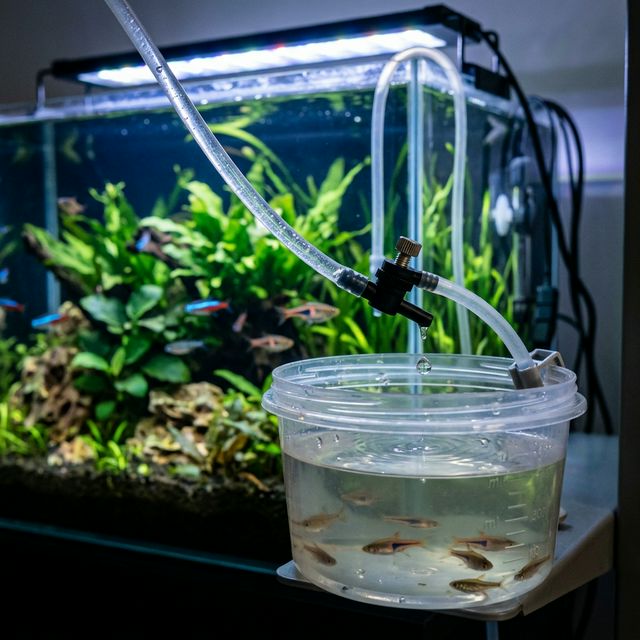 Крапельний метод акліматизації