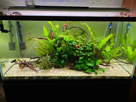 Акваріумне світло