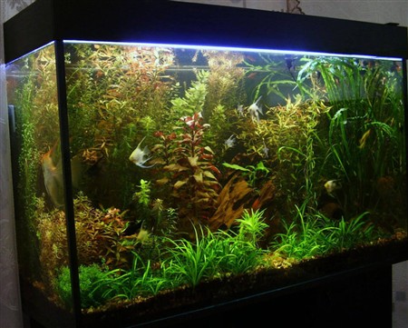 Декор корабель