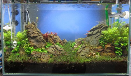 Блакитний неон