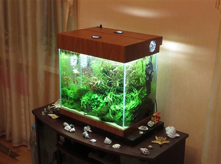 Малий акваріум